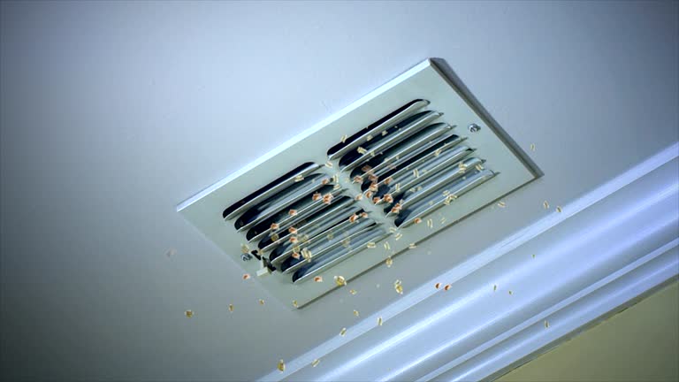 Best Air Vent Cleaning Services  in Wappingers Falls, NY