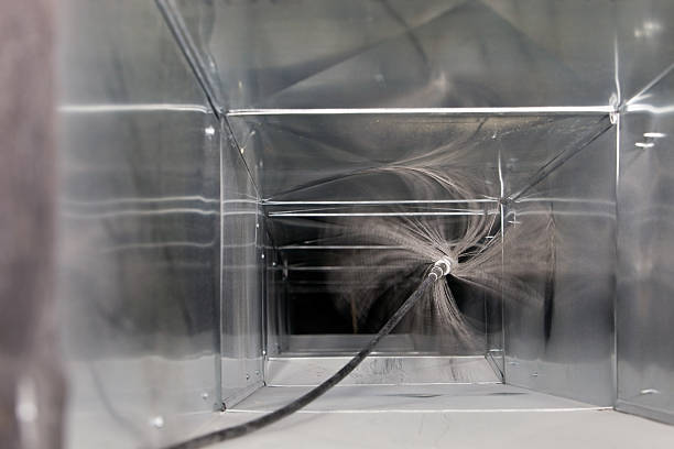 Best Air Duct Mold Removal  in Wappingers Falls, NY